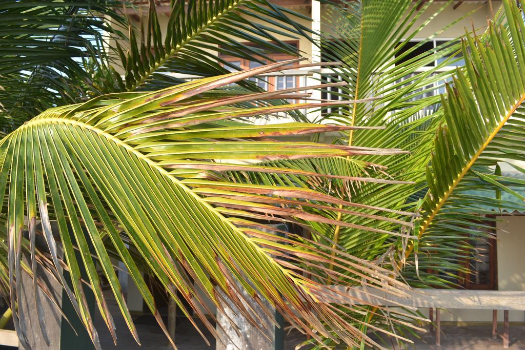 Beach Arthur Villa Galle Esterno foto